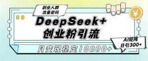 DeepSeek+创业粉精准引流,全新分享课4.0玩法,AI矩阵日引300+,多种变现方式,稳定月入1W-风淘社