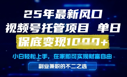 25年最新风口,视频号托管项目,单日保底变现1k+,手把手教学【揭秘】-风淘社