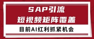 小红书某音sap赛道引流获客 自热矩阵日引200+【揭秘】-风淘社