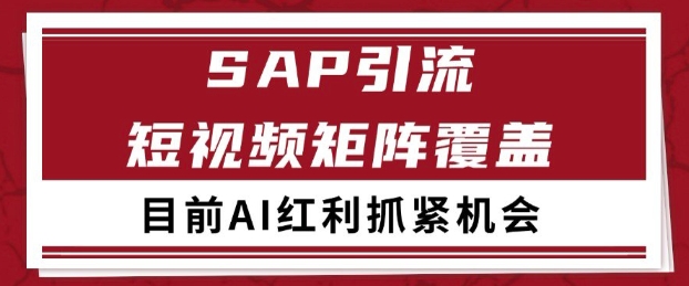 小红书某音sap赛道引流获客 自热矩阵日引200+【揭秘】-风淘社
