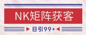 小红书某音NK赛道引流获客 自热矩阵日引200+【揭秘】-风淘社