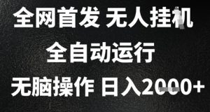 2025首发无人挂G项目,日入2k+,全自动运行,无脑操作,长期稳定 小白可玩【揭秘】-风淘社