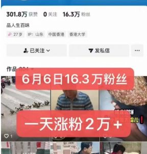 外面卖5000最新抖音搬运涨粉技术，新玩法，一分钟一条，一天涨粉2W，苹果安卓都可用-风淘社
