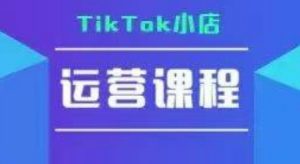 TikTok小店运营实操课,TK小店运营实操+疑难答疑-风淘社