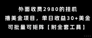 外面收费2980的挂G撸美金项目，单日收益30+美金，可批量可矩阵【揭秘】-风淘社