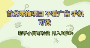 首发零撸项目 不看广告 手机可做 新手小白可以做 月入3k+【揭秘】-风淘社