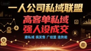 一人公司私域联盟,高客单私域,强人设成交,建私域 搞发售 广结盟 造势能-风淘社