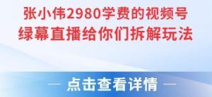 张小伟2980付费额视频号绿幕直播给你们拆解玩法-风淘社