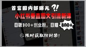 首富圈内部曝光小红书垂直图文引流新课,日吸300+创业粉,日入8张+,限时获取防封禁-风淘社