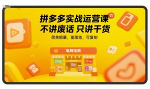 拼多多实战运营课,不讲废话只讲干货,简单粗暴,能落地,可复制-风淘社
