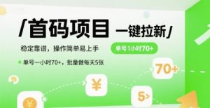 首码一键拉新项目，稳定靠谱，操作简单易上手，单号一小时70+，批量做每天5张【揭秘】-风淘社