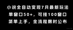 小说全自动变现7月玩法，单窗口50+，可挂100窗口，简单上手，全流程限时公布【揭秘】-风淘社