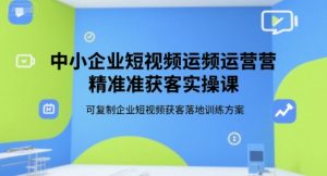中小企业短视频运营精准获客实操课,可复制企业短视频获客落地训练方案-风淘社