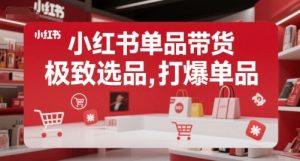 小红书单品带货，极致选品，打爆单品（更新）-风淘社