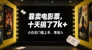 靠卖电影票,十天搞了7k+,小白无门槛上手,零投入【揭秘】-风淘社