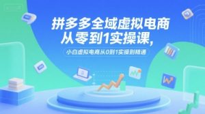 拼多多全域虚拟电商从零到1实操课,小白虚拟电商从0到1实操到精通-风淘社