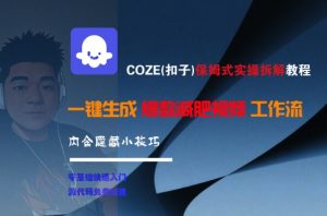 COZE(扣子)保姆式实操拆解教程,一键生成爆款减肥视频工作流,批量产出高质量视频-风淘社