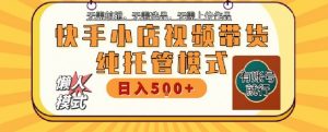快手小店托管代运营,无需剪辑,无需选品,无需上传作品,全程无需操作,轻松月入5k+【揭秘】-风淘社