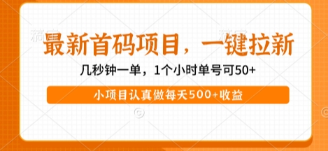 最新首码项目,操作最简单,收益高,一键拉新,1个小时单号可50+,小项目认真做每天5张+收益【揭秘】-风淘社