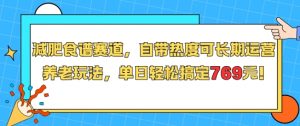 减肥食谱赛道,自带热度可长期运营,养老玩法,单日轻松搞定769-风淘社