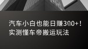 汽车小白也能日入3张！实测懂车帝搬运玩法-风淘社