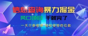信息查询暴力掘金,一天三条视频,轻松变现四位数,风口项目干就完了【揭秘】-风淘社