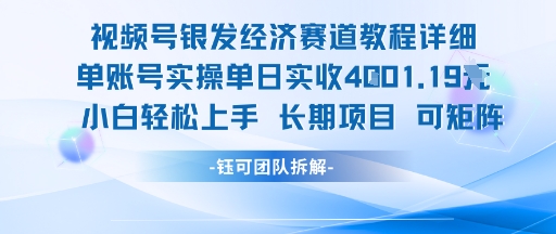 视频号银发经济赛道单账号实操单日实收1k+，小白轻松上手长期项目-风淘社