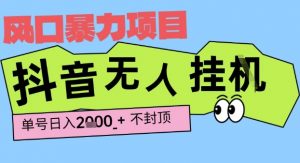 2025最新抖音暴力挂G撸金项目,单号产出2k+ ,小白当天也能拿结果,长期稳定做的项目【揭秘】-风淘社