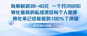每单利润40一个月7k+转化最高的私域项目,每个人都要的产品转化率已经能做到100%-风淘社
