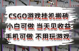 CSGO游戏挂G搬砖，小白纯手机即可操作，不用电脑打游戏，日入3张+，副业网创项目【揭秘】-风淘社