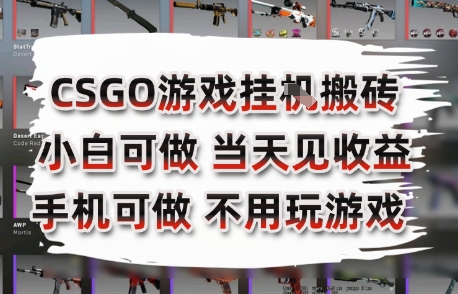 CSGO游戏挂G搬砖,小白纯手机即可操作,不用电脑打游戏,日入3张+,副业网创项目【揭秘】-风淘社