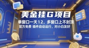 美金挂G项目,单窗口一天12,多窗口上不封顶,官方免费插件自动运行,对小白友好【揭秘】-风淘社