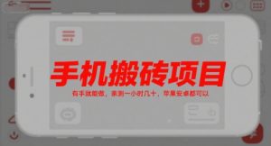 手机搬砖项目，有手就能做，亲测一小时几十，苹果安卓都可以-风淘社