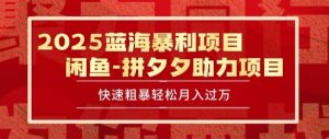 2025 最新闲鱼蓝海暴利项目 快速粗暴让你月入过1W不是梦,保姆级教程【揭秘】-风淘社