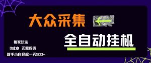 大众采集全自动玩法,新手小白轻松一天5张+,操作简单零成本【揭秘】-风淘社