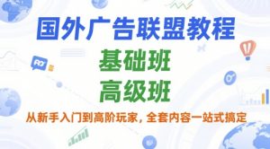 国外广告联盟教程,基础班和高级班,从新手入门到高阶玩家,全套内容一站式搞定-风淘社