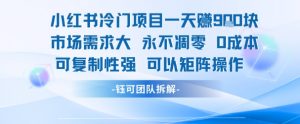 小红书冷门项目一天收益9张，市场需求大，0成本，可复制性强可以矩阵操作-风淘社