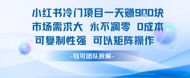 小红书冷门项目一天收益9张,市场需求大,0成本,可复制性强可以矩阵操作-风淘社