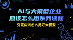 AI与大模型企业应该怎么用系列课程,究竟应该怎么用好大模型-风淘社