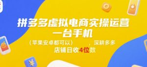 拼多多虚拟电商实操运营，一台手机(苹果安卓都可以)，深耕多多店铺日收4位数-风淘社