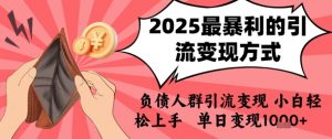 2025年最暴利的引流变现方式,负债人群引流变现,小白轻松上手,日入1k-风淘社