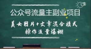 公众号流量主副业项目,美女图片+文章混合模式操作流量爆棚-风淘社