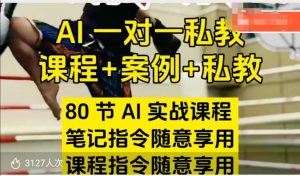 AI指令实战课,课程+案例,80节AI实战课程,笔记指令随意享用,课程指令随意享用(更新7月)-风淘社
