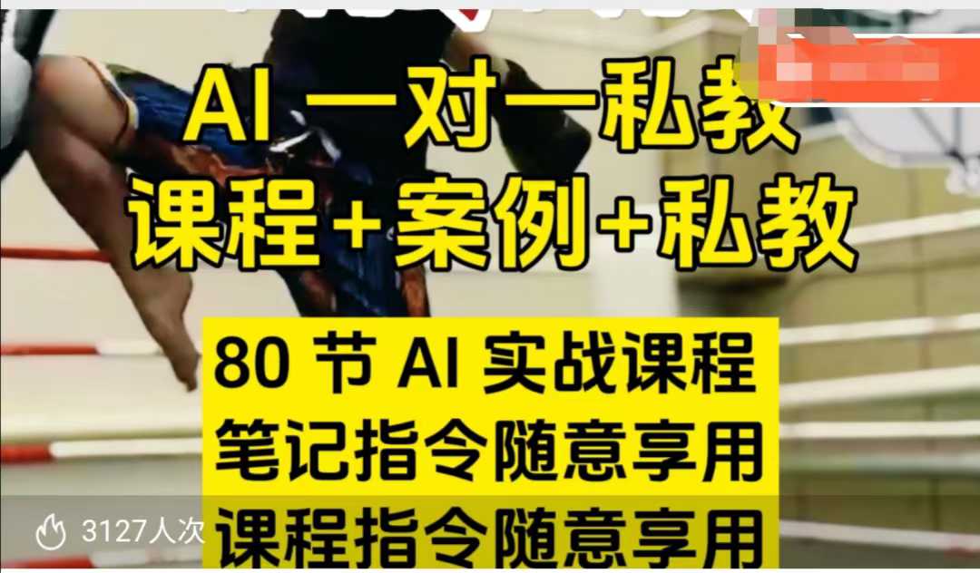 AI指令实战课,课程+案例,80节AI实战课程,笔记指令随意享用,课程指令随意享用(更新7月)-风淘社