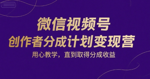 微信视频号创作者分成计划变现营，用心教学，直到取得分成收益-风淘社