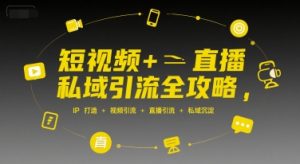 短视频+直播私域引流全攻略，IP打造 +视频引流 +直播引流 +私域沉淀-风淘社