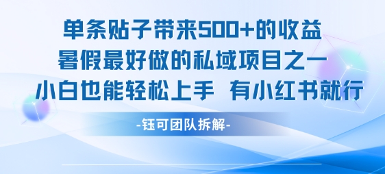 单条贴子带来5张的收益，暑假最好做的私域项目之一，小白也能轻松上手，有小红书就行-风淘社