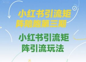 小红书引流矩阵陪跑第三期,小红书引流矩阵引流玩法-风淘社