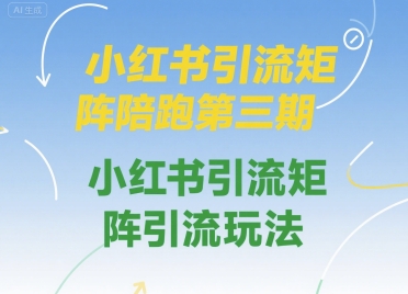 小红书引流矩阵陪跑第三期,小红书引流矩阵引流玩法-风淘社