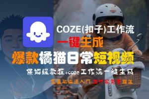 COZE(扣子)工作流一键生成爆款橘猫日常短视频,保姆级教程,零基础快速入门-风淘社